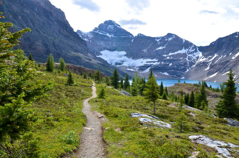 Beautiful mountain trail leading through a lush alpine landscape with distant snowy peaks and a blue lake.